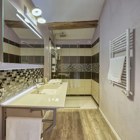 Bed and Breakfast Demeure De Flammarenc 4*