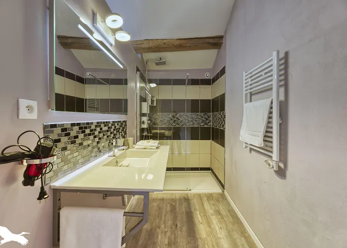 Bed & Breakfast Demeure De Flammarenc 4*