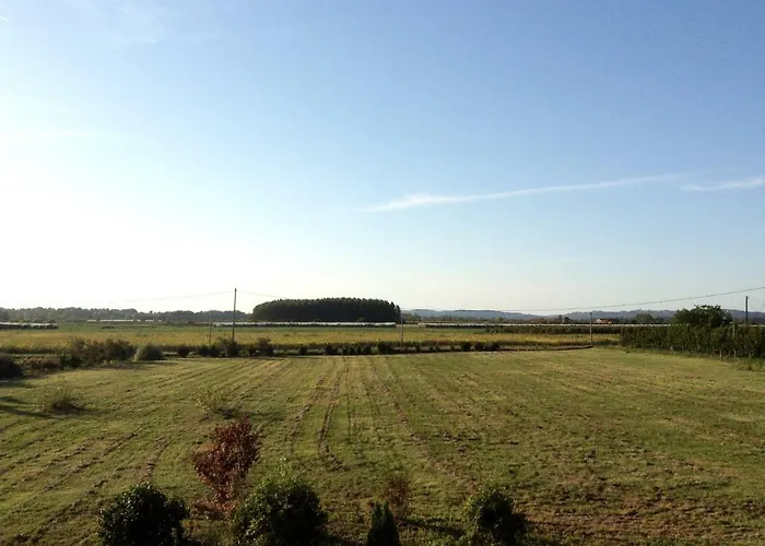 Demeure De Flammarenc 4* Albefeuille-Lagarde