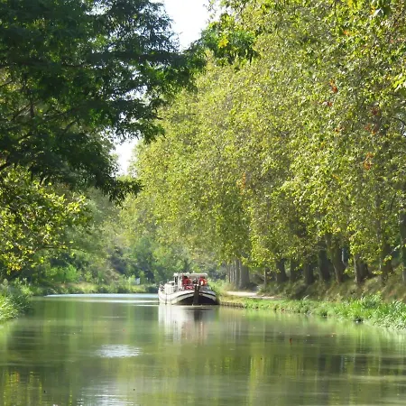 Demeure De Flammarenc 住宿加早餐酒店 4*