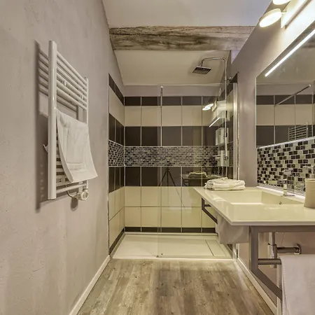 Demeure De Flammarenc 住宿加早餐酒店 4*