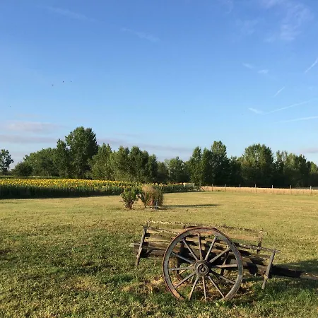 住宿加早餐酒店 Demeure De Flammarenc